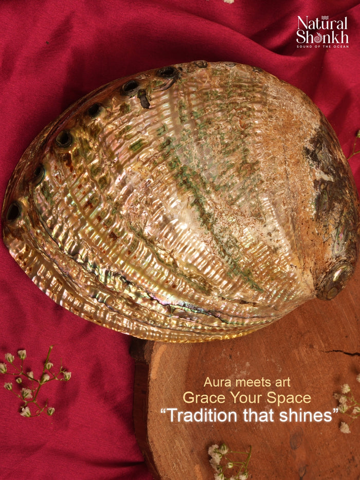 Abalone Seep - For Jewelry and Accessories