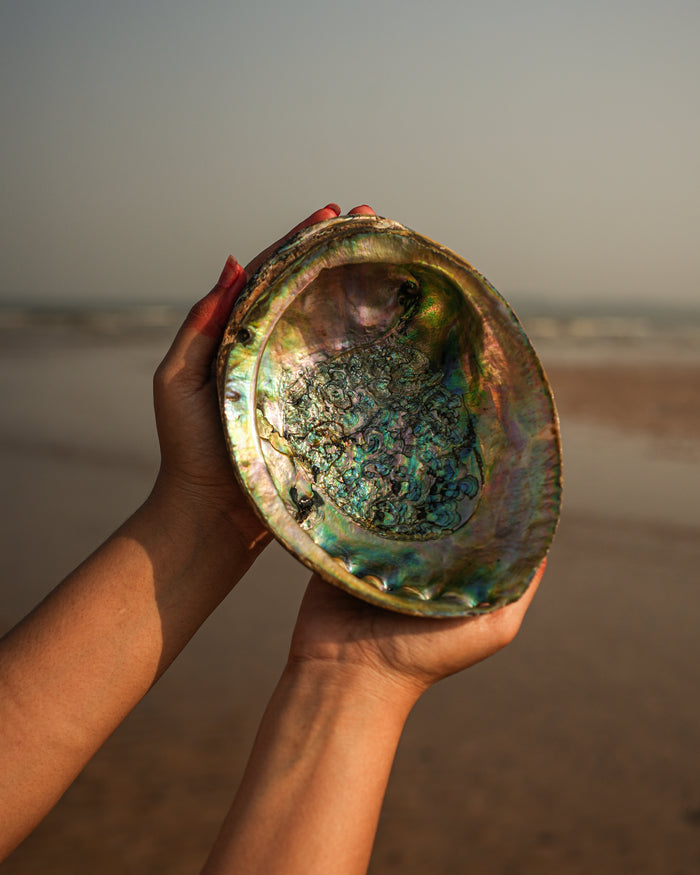 Abalone Seep - For Jewelry and Accessories