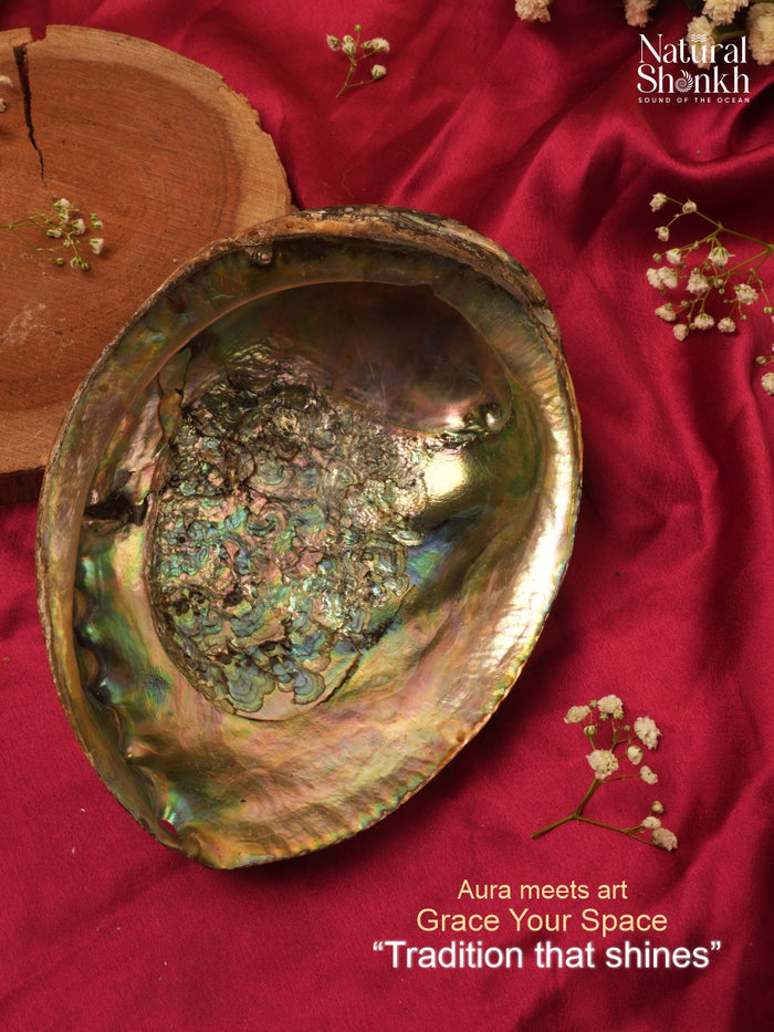 Abalone Seep - For Jewelry and Accessories
