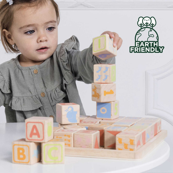 ABC Wooden Blocks - The Well Appointed House