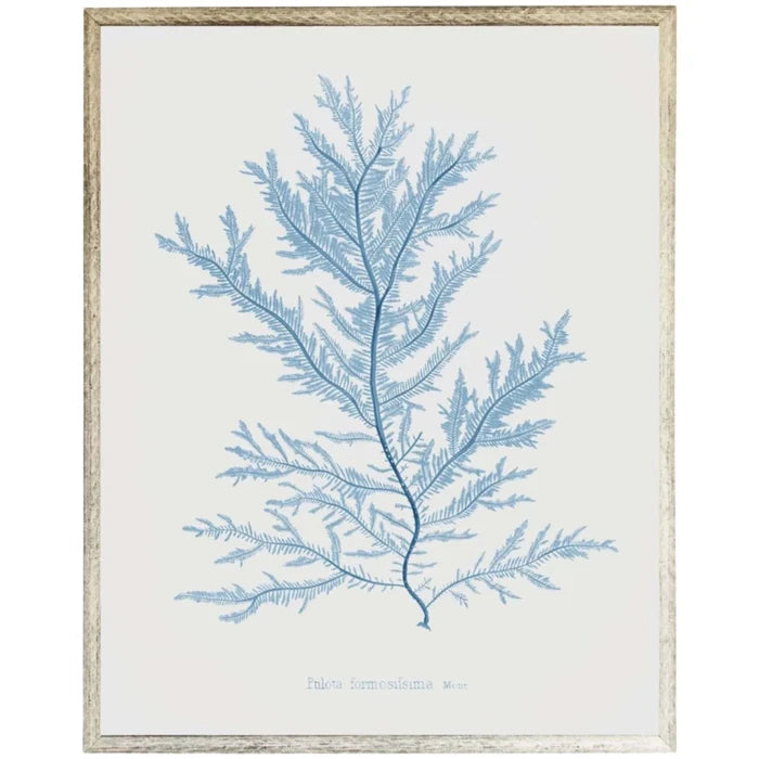 Blue Coral Framed Wall Art 2 - Paintings - The Well Appointed House