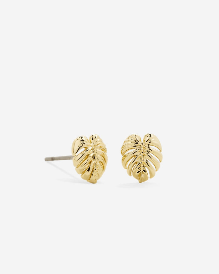 Bryan Anthonys Gold Breathe Stud Earrings Macro