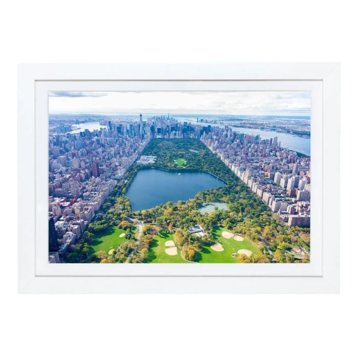 "Central Park" Mini Framed Print by Gray Malin - Photography - The Well Appointed House