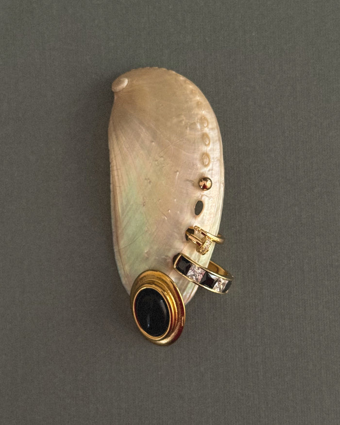 A shell with multiple earrings placed on it on a green background