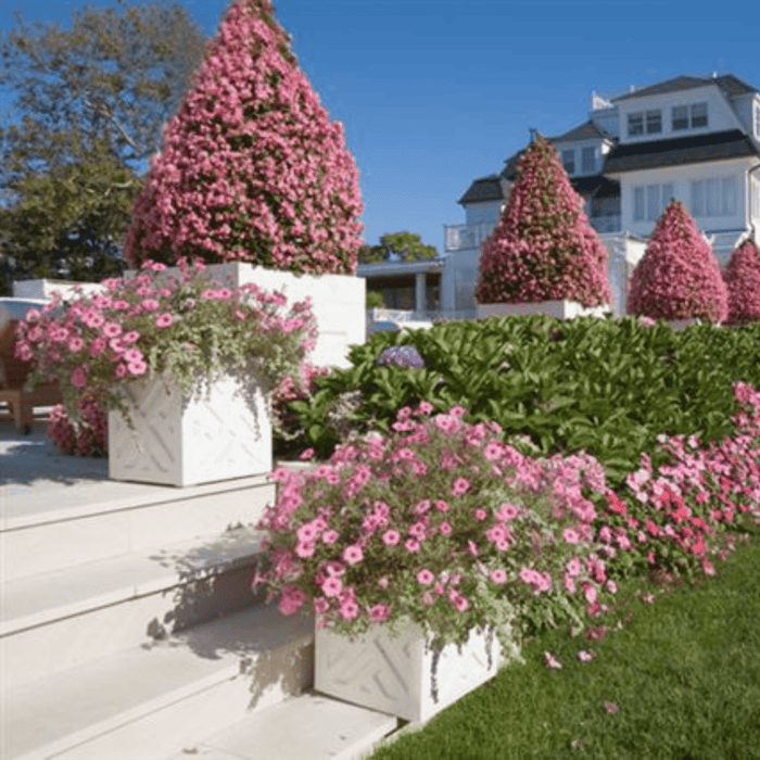 Chippendale Outdoor Garden Planter - Outdoor Planters - The Well Appointed House