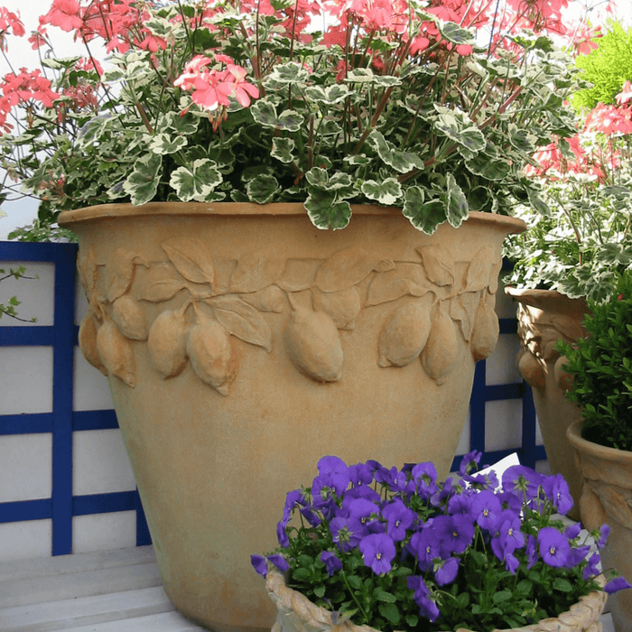 Citrus Lemon Design Garden Pot in Terracotta Finish - Outdoor Planters - The Well Appointed House