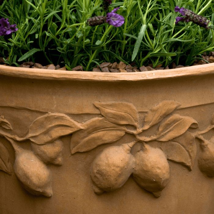 Citrus Lemon Design Garden Pot in Terracotta Finish - Outdoor Planters - The Well Appointed House