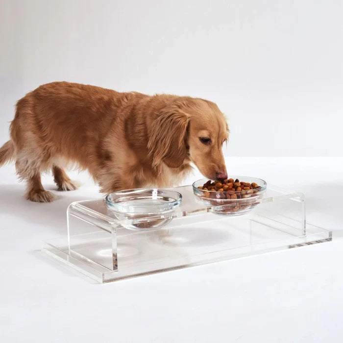 Clear Double Dog Bowl Feeder with 1 Quart Glass Bowls - Pet Accessories - The Well Appointed House