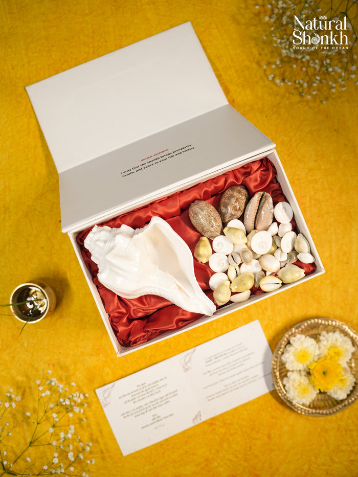 Dev-Dutt Kit (37 Nos)