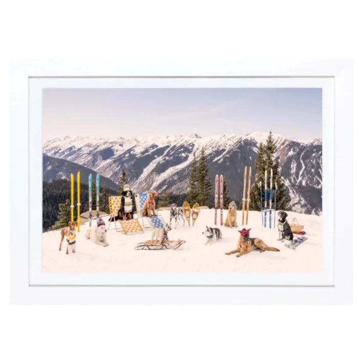 Dogs of Aspen Mini Framed Print by Gray Malin - Photography - The Well Appointed House