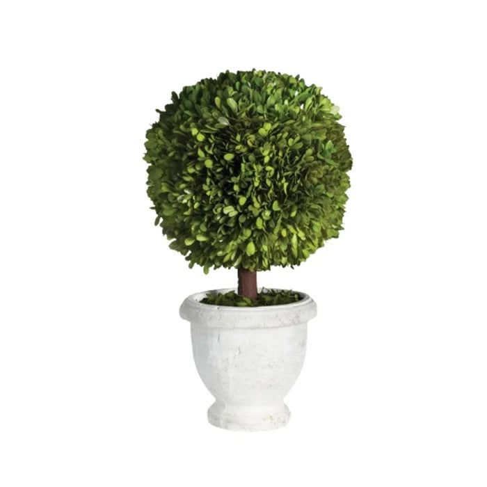 Faux Boxwood Single Ball Topiary in White Pot - Florals & Greenery - The Well Appointed House