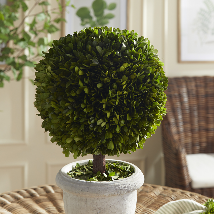 Faux Boxwood Single Ball Topiary in White Pot - Florals & Greenery - The Well Appointed House