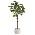 Faux Lemon Tree in White Ceramic Pot - Florals & Greenery - The Well Appointed House