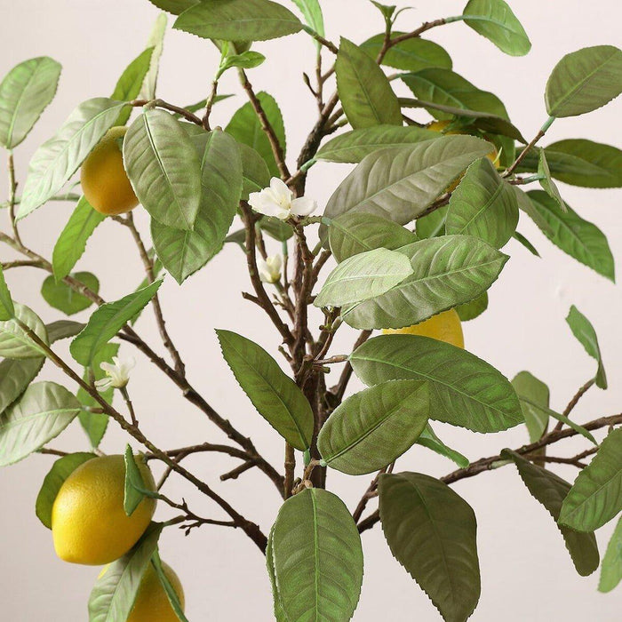 Faux Lemon Tree in White Ceramic Pot - Florals & Greenery - The Well Appointed House