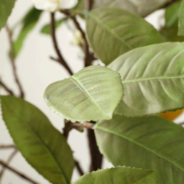 Faux Lemon Tree in White Ceramic Pot - Florals & Greenery - The Well Appointed House