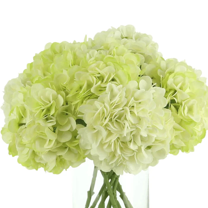 Faux Light Green & Cream Hydrangeas - Florals & Greenery - The Well Appointed House