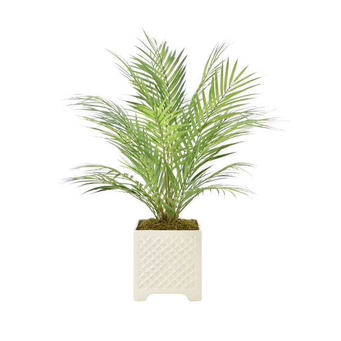 Faux Palm Tree in Ceramic Square Pot - Florals & Greenery - The Well Appointed House