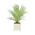 Faux Palm Tree in Ceramic Square Pot - Florals & Greenery - The Well Appointed House