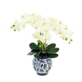 Faux White Orchids Floral in Ceramic Vase - Florals & Greenery - The Well Appointed House