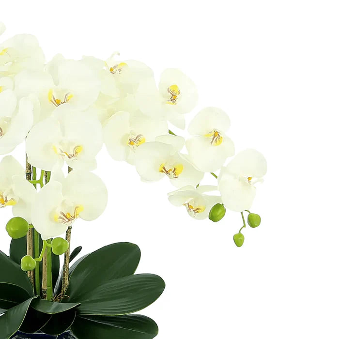 Faux White Orchids Floral in Ceramic Vase - Florals & Greenery - The Well Appointed House