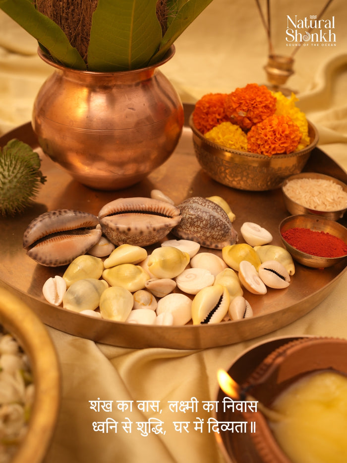 Fortune Kit (36 Nos) - For Wealth and Prosperity