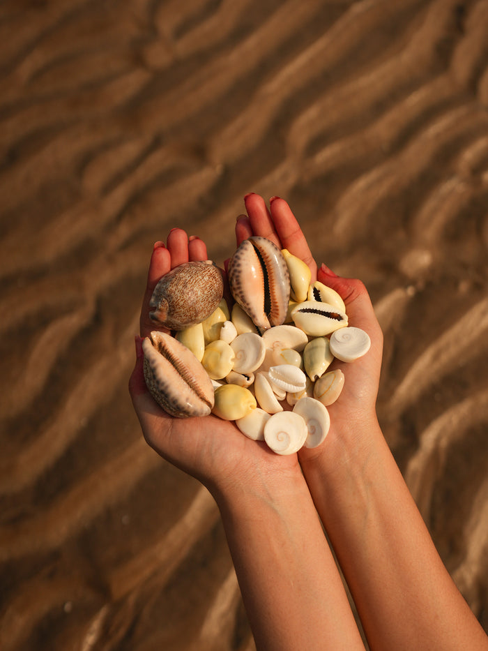Fortune Kit (36 Nos) - For Wealth and Prosperity
