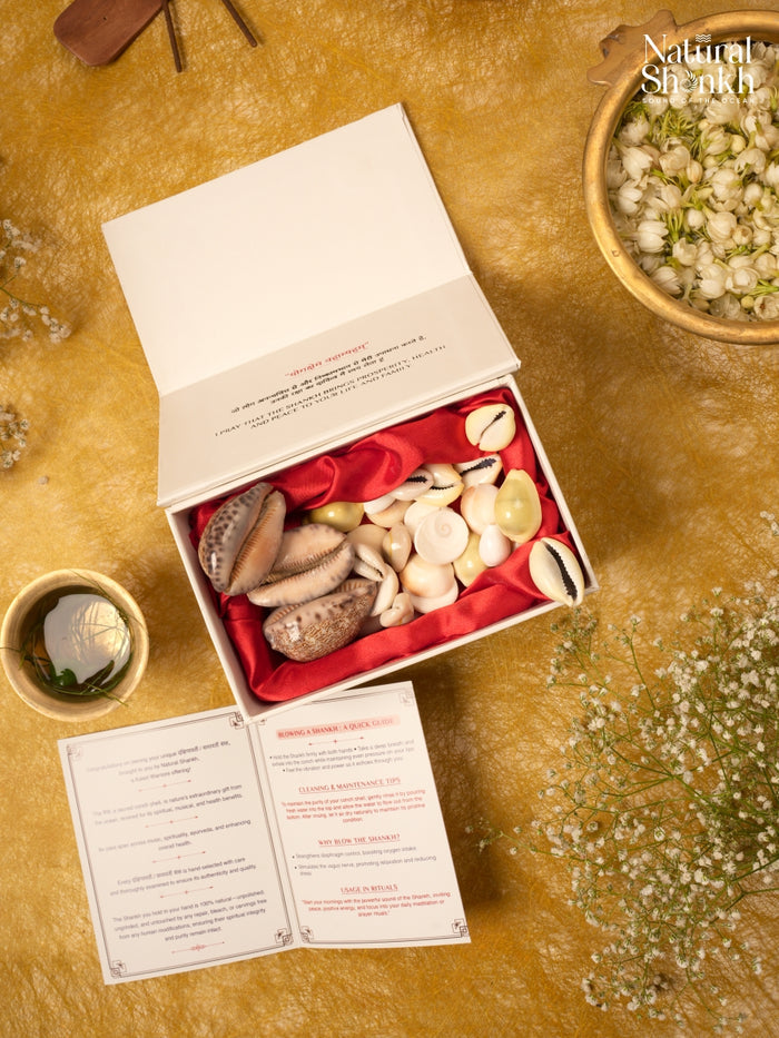 Fortune Kit (36 Nos) - For Wealth and Prosperity