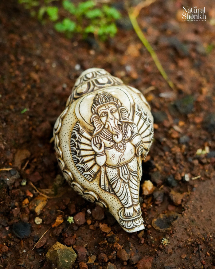 Ganesh Carved Shankh