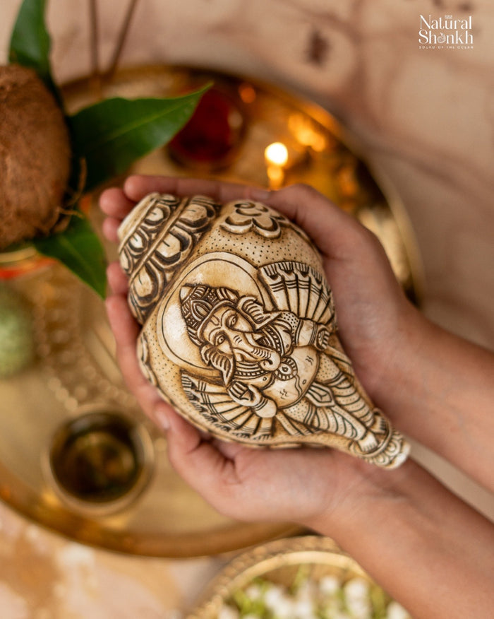 Ganesh Carved Shankh