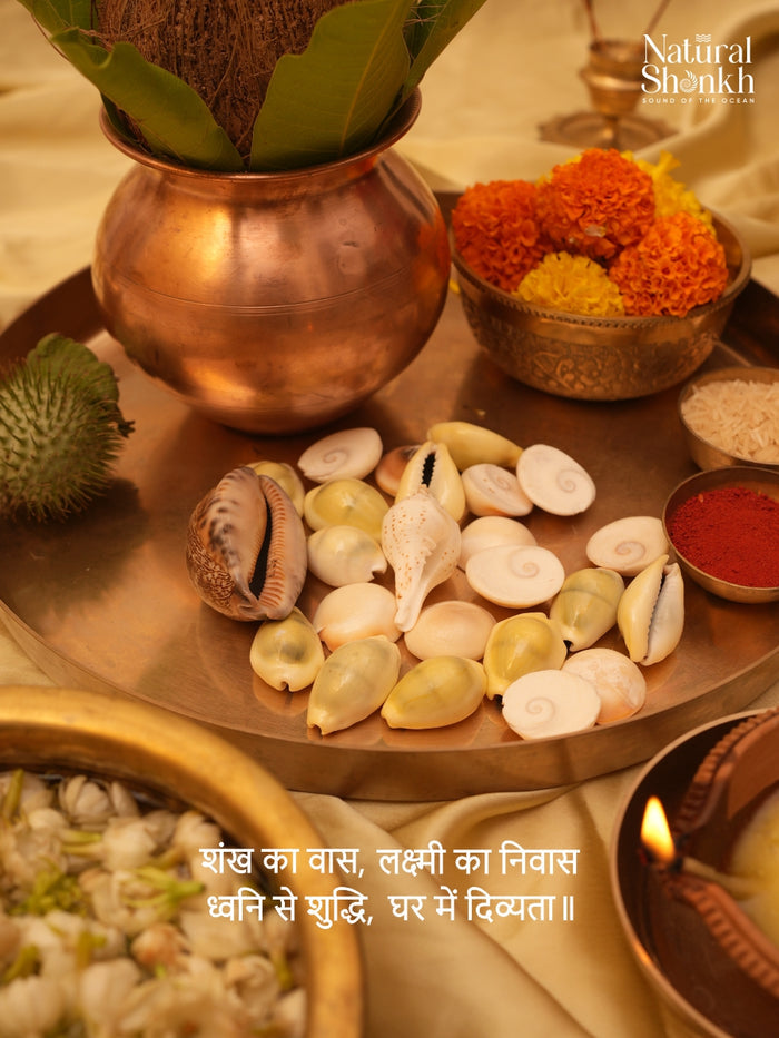 Goddess Lakshmi Puja Kit (25 Nos) - For Lakshmi Puja