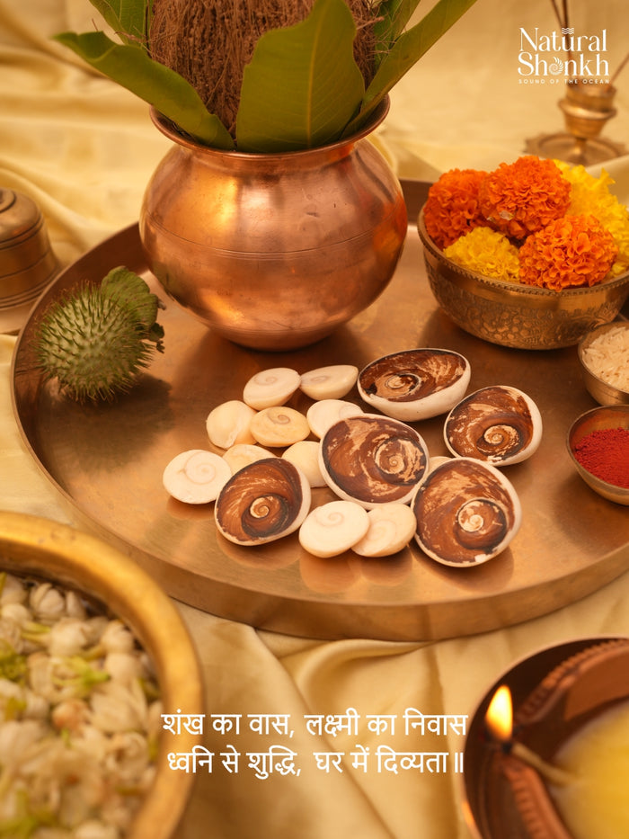 Gomti Chakra Kit (16 Nos) - For Wealth and Abundance