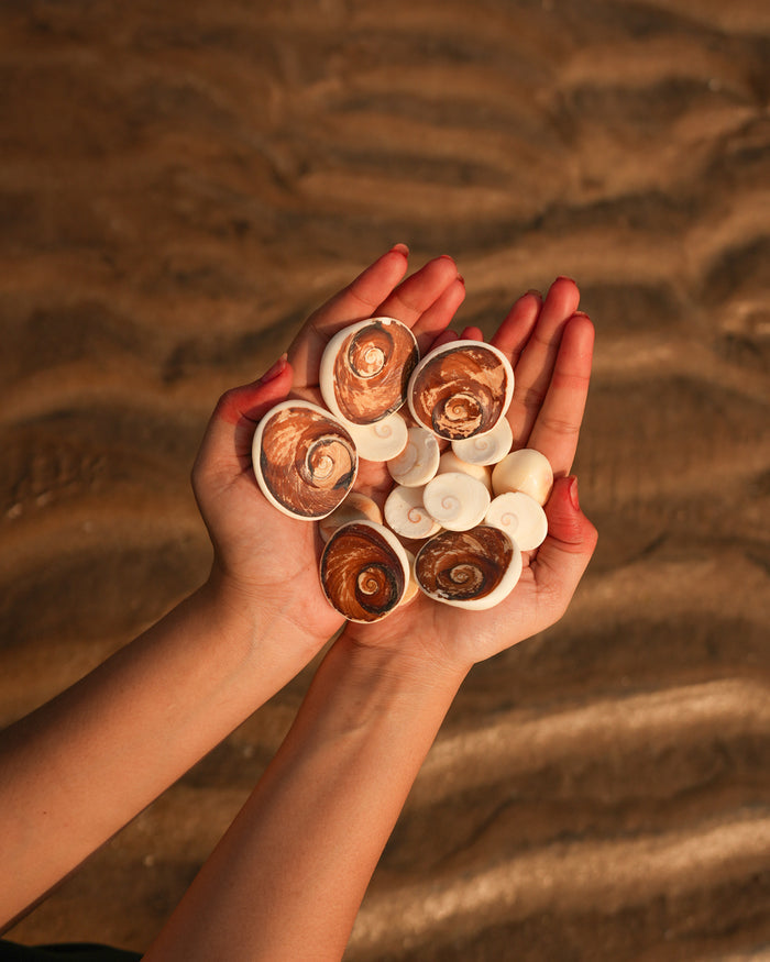 Gomti Chakra Kit (16 Nos) - For Wealth and Abundance