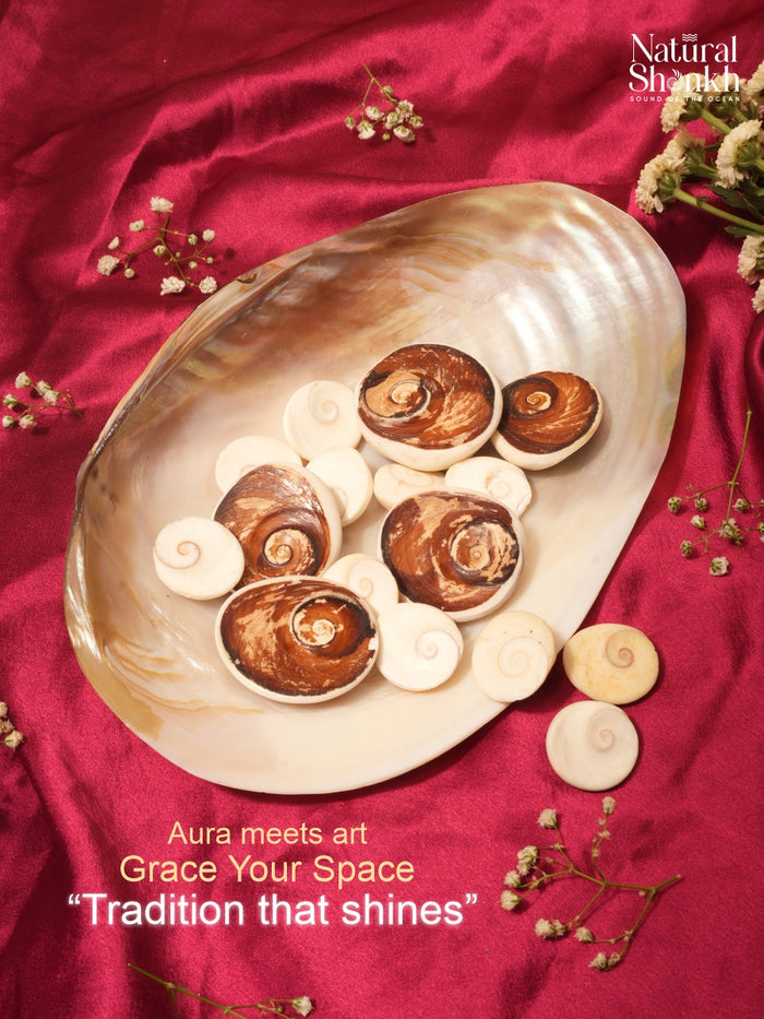 Gomti Chakra Kit (16 Nos) - For Wealth and Abundance