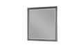 Gray Kenzo - Mirror