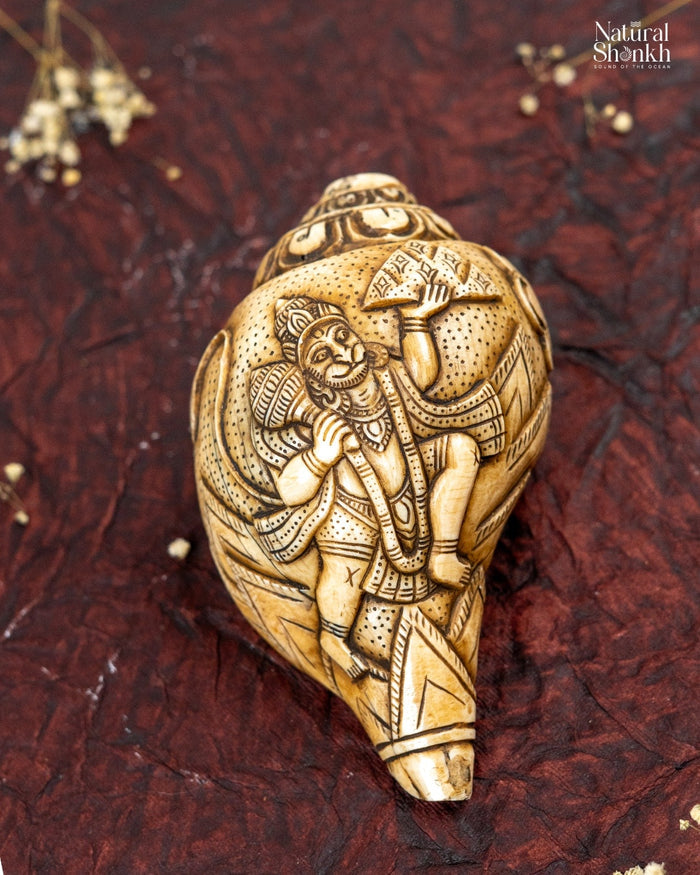 Hanuman Carved Shankh