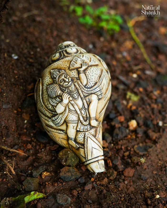 Hanuman Carved Shankh