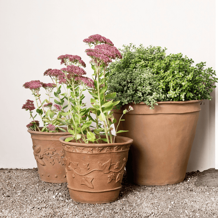 Ivy Pattern Garden Pot - Outdoor Planters - The Well Appointed House