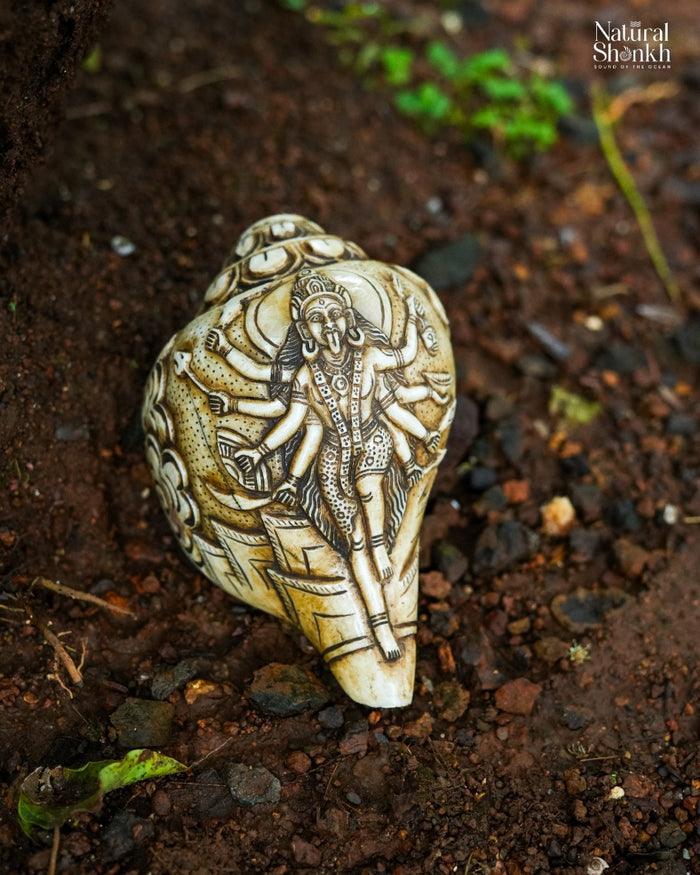 Kali Mata Carved Shankh