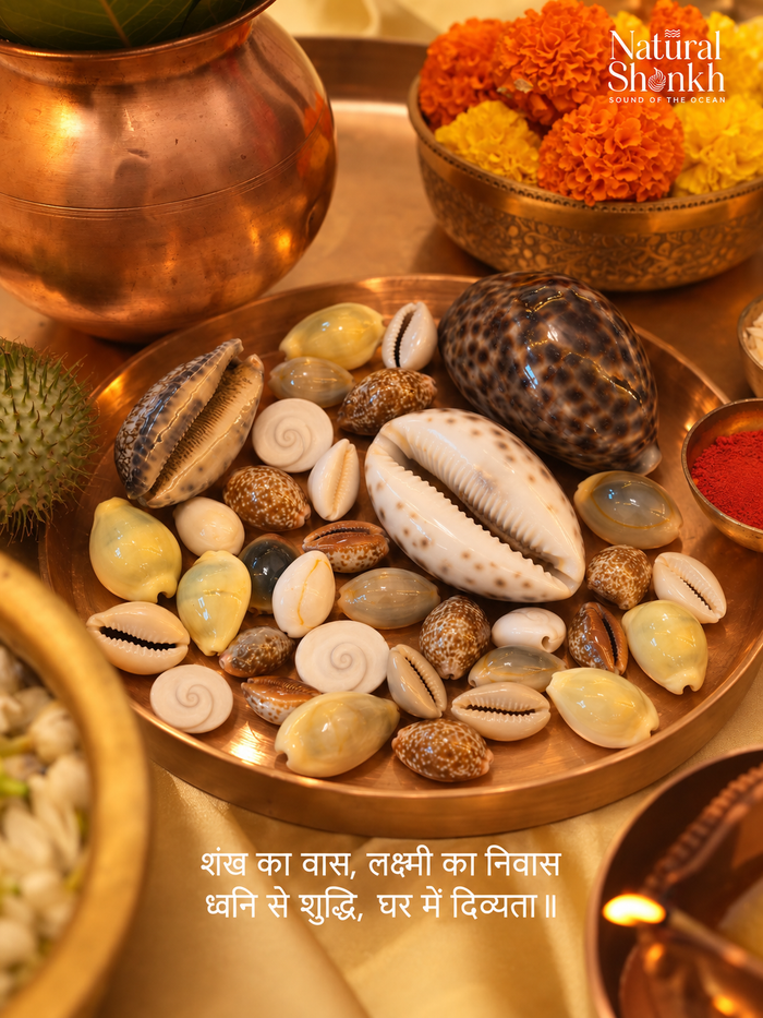 Kaudi Sangrah (49 Nos)