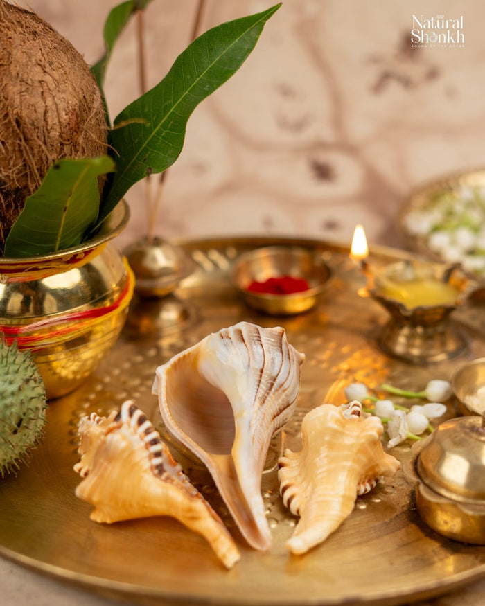 Lakshmi-Ganesh Kit (3 Nos) - For Success and Wealth
