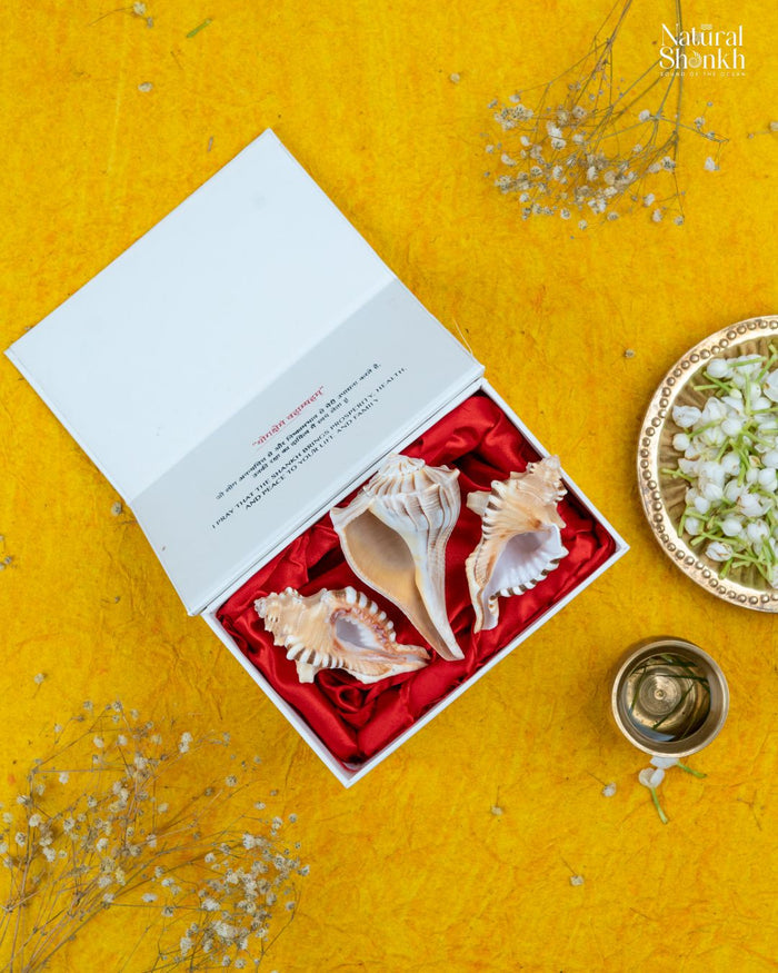 Lakshmi-Ganesh Kit (3 Nos) - For Success and Wealth