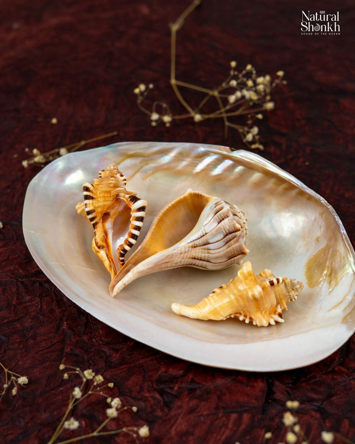 Lakshmi-Ganesh Kit (3 Nos) - For Success and Wealth