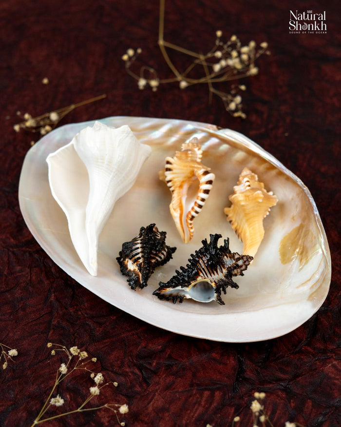 Lakshmi-Ganesh-Shani Kit (5 Nos)