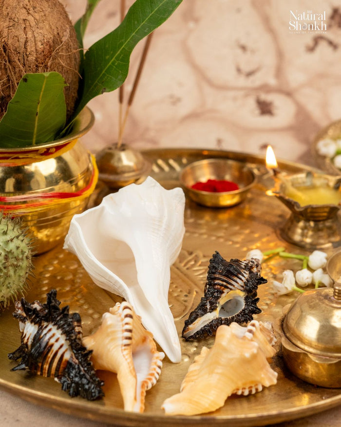 Lakshmi-Ganesh-Shani Kit (5 Nos)