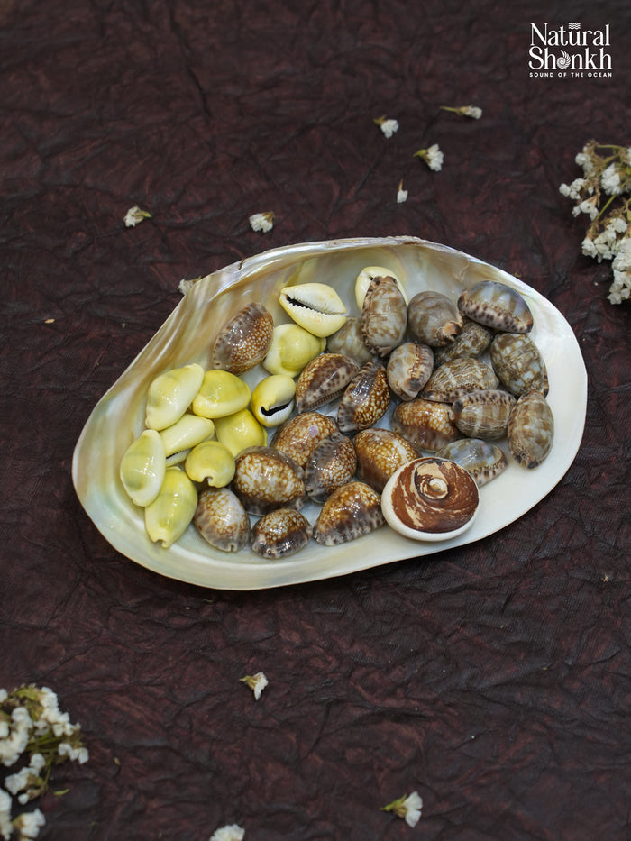 Lakshmi Nivaas Kaudi Hamper (34 Nos)