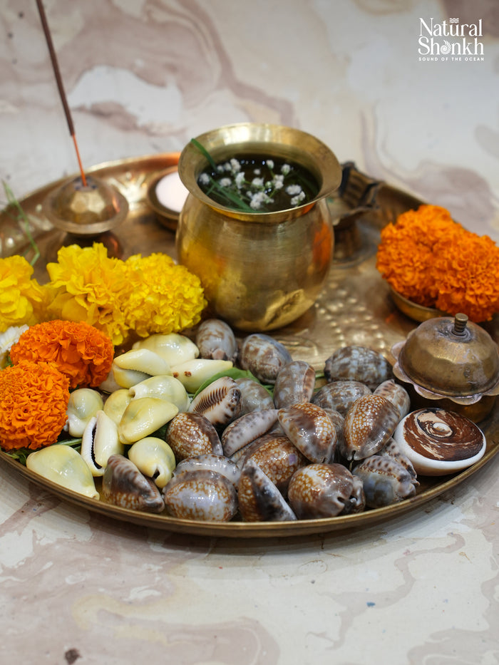 Lakshmi Nivaas Kaudi Hamper (34 Nos)