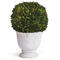 Large Boxwood Ball Topiary in Pot - Florals & Greenery - The Well Appointed House