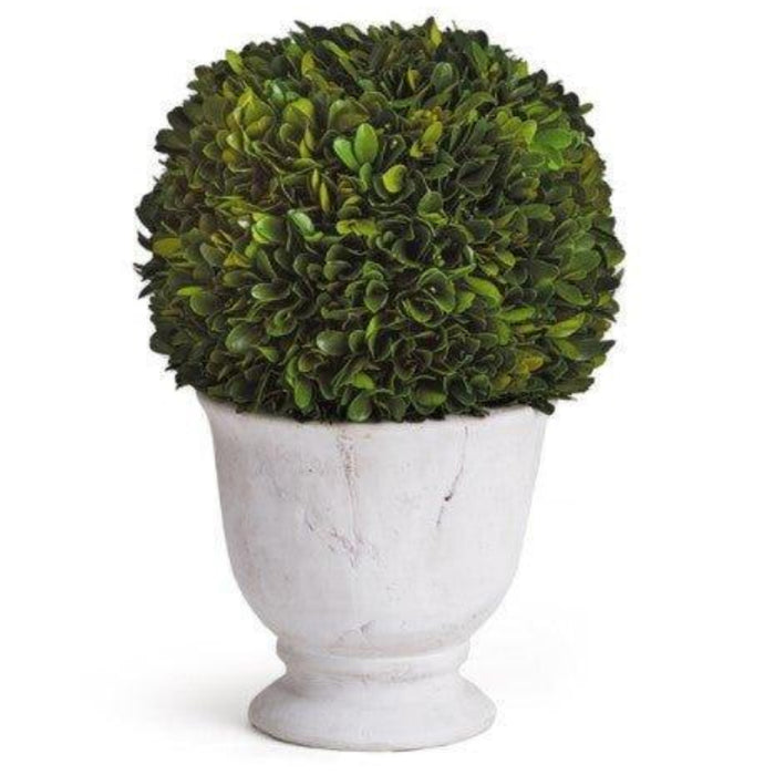 Large Boxwood Ball Topiary in Pot - Florals & Greenery - The Well Appointed House