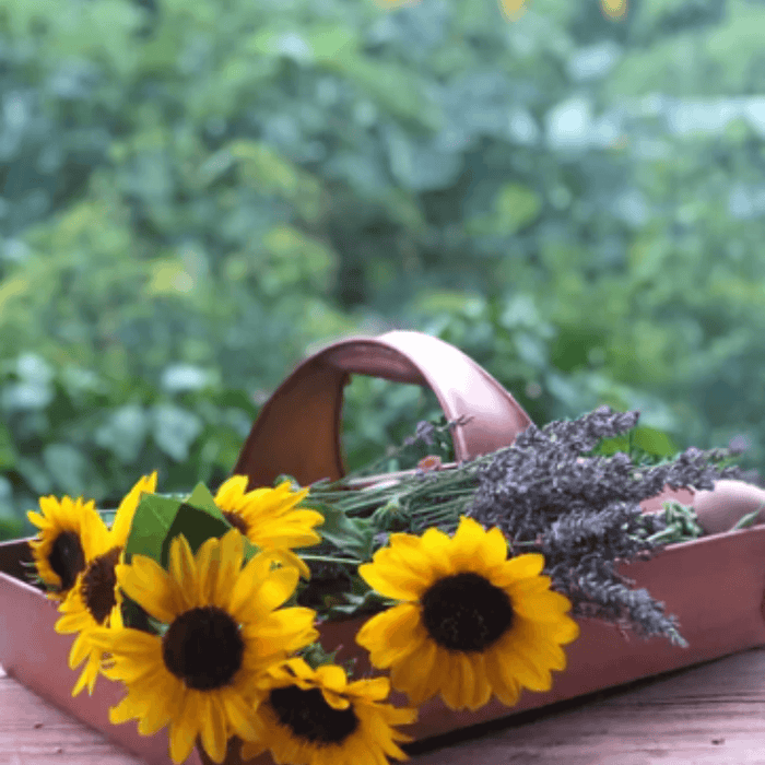 Large Pure Copper Garden Trug Basket - Baskets & Bins - The Well Appointed House