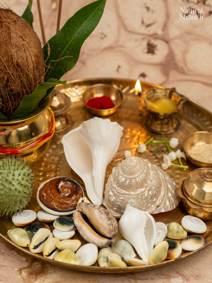 Maha-Lakshmi Kit (27 Nos)